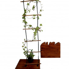 Ladder for hanging flowers