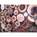 Tablou din rondele de lemn - handmade - model TR001 - aac0091