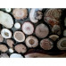 Tablou din rondele de lemn - handmade - model TR005