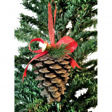 Natural fir cone, decorated for the Christmas tree - aac0128