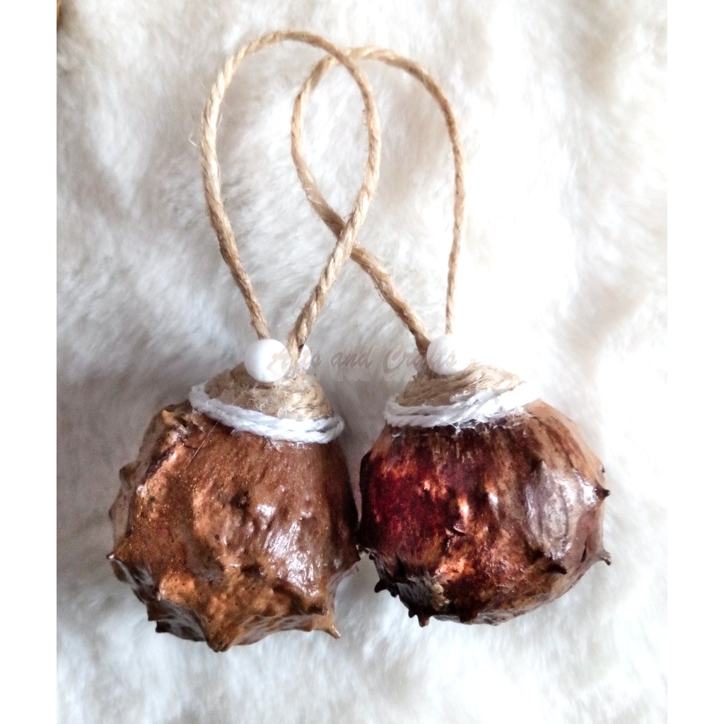 Ornamente naturale pentru bradul de Craciun - aac0103