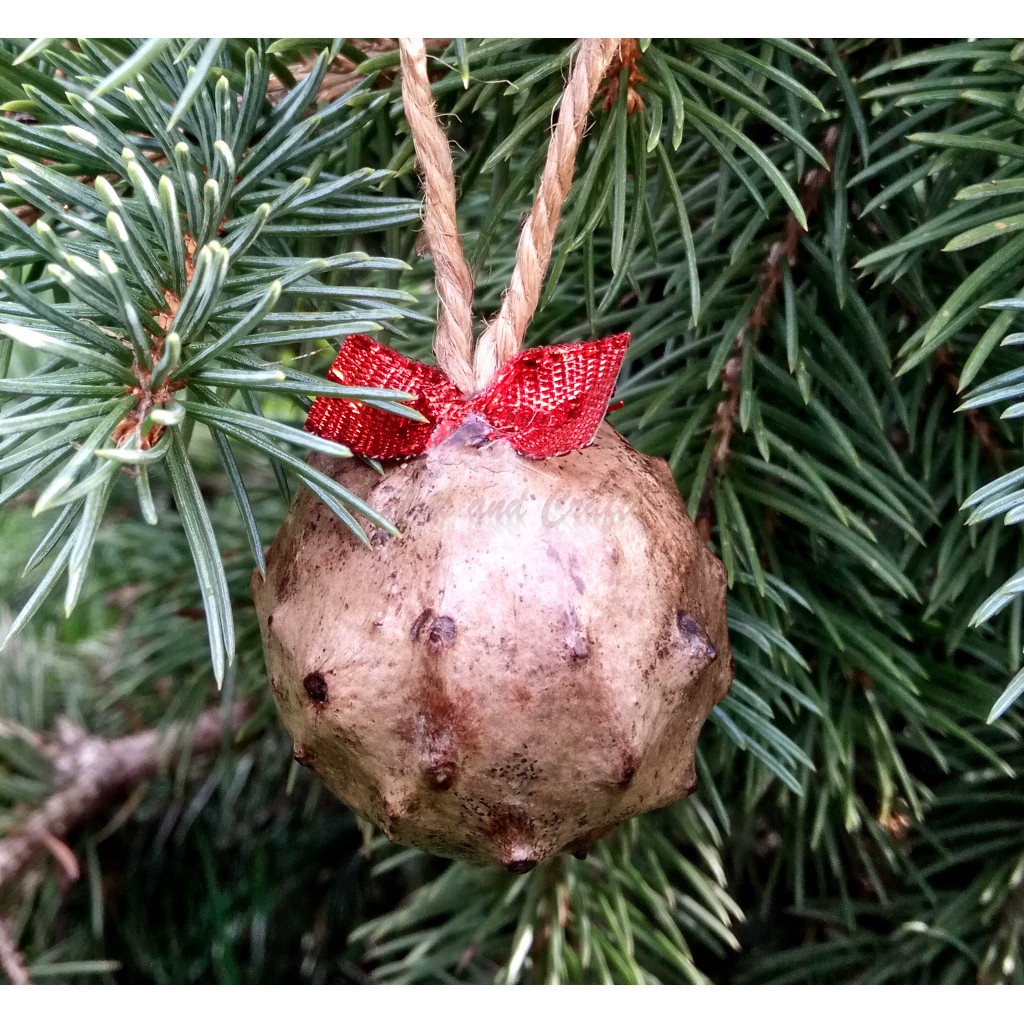 Ornamente naturale pentru bradul de Craciun - aac0104