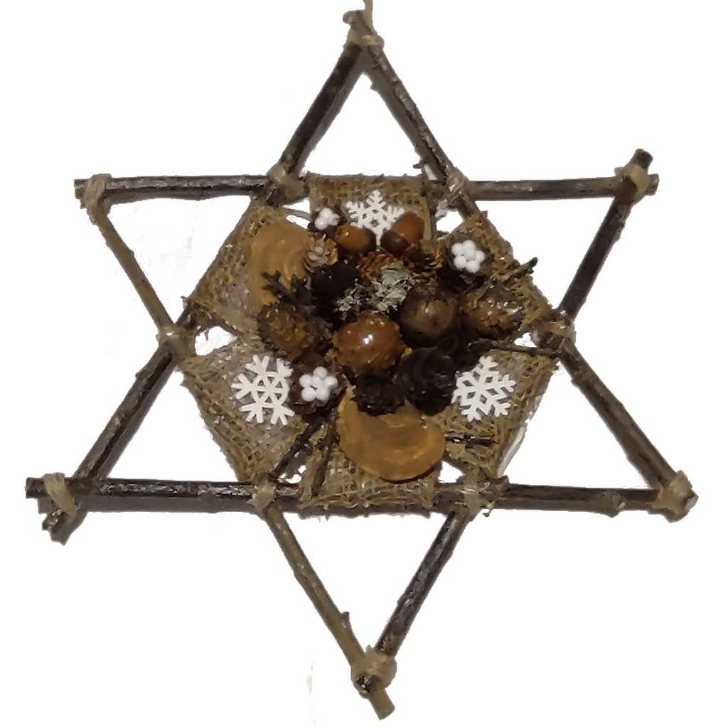 Handmade star made of natural elements rustic Christmas decoration